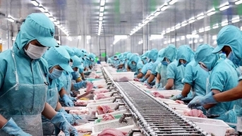 Cơ hội xuất khẩu hàng hoá sang thị trường Hoa Kỳ qua nền tảng trực tuyến