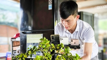 Nhà vườn Bến Tre làm livestream tự bán hàng, không lệ thuộc vào thương lái