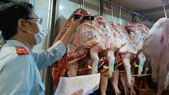 ទីក្រុងហូជីមិញរាយការណ៍ជូនរដ្ឋាភិបាលមជ្ឈិមស្តីពីនាយកដ្ឋានសុវត្ថិភាពចំណីអាហារ