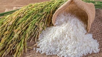 Sau động thái của Ấn Độ và Myanmar, giá gạo Việt lập đỉnh mới