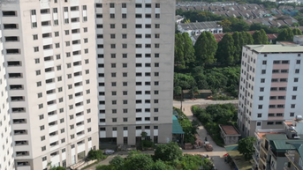 Dự án tái định cư hơn 700 tỷ đồng biến thành nơi trồng rau, nuôi vịt