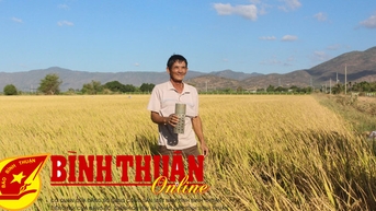 យល់ព្រមលើគោលនយោបាយសម្រាប់ស្រុក Tuy Phong ក្នុងការទិញពូជស្រូវ និងសម្ភារៈ