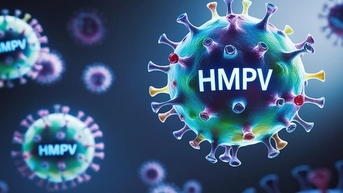중국의 HMPV 바이러스 질병 상황에 대한 WHO 공식 정보