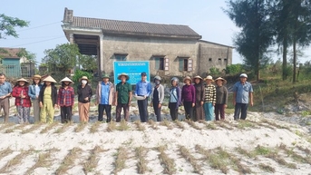 កន្លែង​ក្វាង​ទ្រី​ក្តៅ​ដូច​ឋាននរក ដី​ខ្សាច់​ស​ធ្វើ​ម៉េច​កសិករ​ដាំ​ដើម​ឈើ​នេះ​បាន​ចំណេញ​ខ្ពស់?