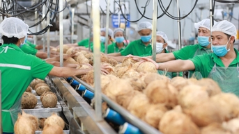 Phải chuyển đổi xanh vì ‘không có kế hoạch B cho môi trường’