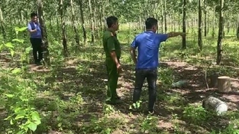 Anh em ruột xô xát, gây ra án mạng trong vườn cao su ở Bình Phước