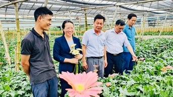 Chủ tịch UBND TP Hà Nội Trần Sỹ Thanh đối thoại với nông dân Thủ đô