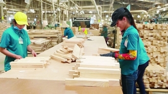 Xuất khẩu gỗ và lâm sản 9 tháng năm 2024 ước đạt 12,15 tỷ USD