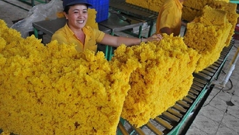 Giá cao su phục hồi mở ra triển vọng khả quan cho ngành "vàng trắng" trong nước