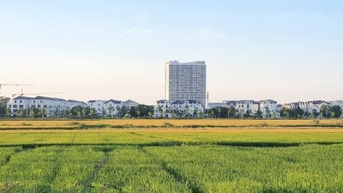 Thừa Thiên Huế đầu tư trung tâm trưng bày sản phẩm xây dựng 131 tỷ đồng