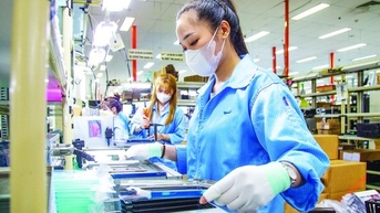Doanh nghiệp thành lập mới cao gấp đôi số doanh nghiệp giải thể