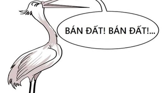 Đã cắt lỗ lại gặp cò “ăn tham”