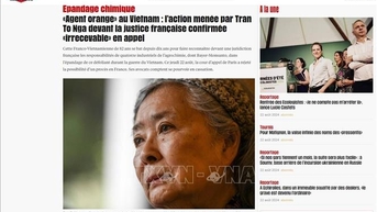 Dư luận Pháp ủng hộ bà Trần Tố Nga trong hành trình đi tìm công lý