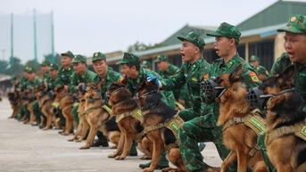 Quân khuyển hăng hái tập luyện chuẩn bị cho Triễn lãm Quốc phòng quốc tế Việt Nam