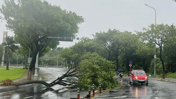 VPF hoãn trận Đà Nẵng gặp Hải Phòng, dời ngày khác