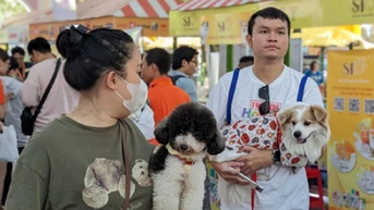 Tiềm năng ngành công nghiệp thú cưng 'tỷ đô'