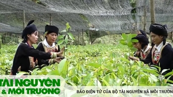 Nông dân “bắc cầu” chính sách