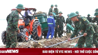 3.000 người dọn rác bủa vây vịnh Đà Nẵng sau mưa lũ