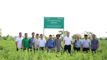 Traphaco បន្តទទួលបានជោគជ័យជាមួយនឹងថ្នាំបូព៌ាដែលមានគុណភាពខ្ពស់ និងឱសថបស្ចិមប្រទេសដែលមានគុណភាពខ្ពស់។