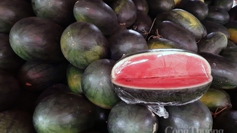 "ទិដ្ឋាការ" បន្ថែមសម្រាប់ឪឡឹកវៀតណាមចូលទីផ្សារចិន