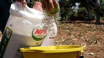 Những giải pháp hay giúp ‘thức dậy’ những mùa vàng