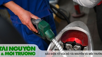 Giá xăng dầu tăng mạnh trở lại