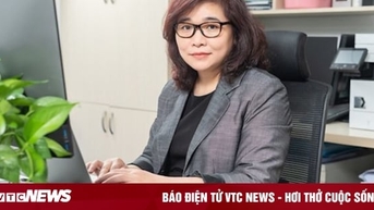 Bắt giữ chuyên gia năng lượng Ngô Thị Tố Nhiên và 2 cán bộ EVN