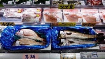 Nga xem xét khả năng cùng Trung Quốc làm điều này với Nhật Bản