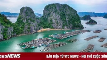 Tỉnh duy nhất ở Việt Nam được Chủ tịch Hồ Chí Minh đặt tên?