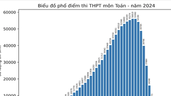 Phổ điểm môn Toán thi tốt nghiệp THPT năm 2024: Không có điểm 10