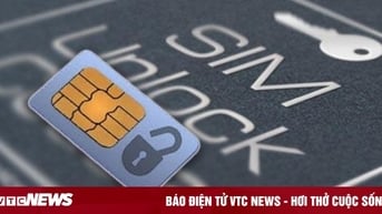 Sim không sử dụng bao lâu thì bị thu hồi?