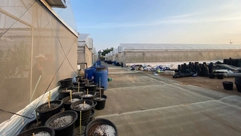 Tiếp cận những nẻo đường cần sa