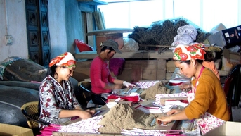 Quỳ Châu phát huy lợi thế, nâng cao thương hiệu và tiềm năng OCOP