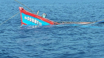 Tàu cá bị đâm chìm trên biển