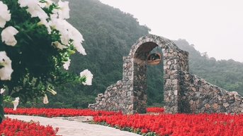 ស្វែងយល់ពីភាពស្រស់ស្អាតនៃ ថងញ៉ំ