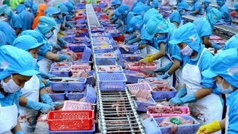 Năm 2024, xuất khẩu cá tra thu về 2 tỷ USD