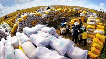 វិស័យ​កសិកម្ម​រក​ចំណូល​បាន​ជិត​៥២​ពាន់​លាន​ដុល្លារ​ក្នុង​ការ​នាំ​ចេញ​ក្នុង​រយៈ​ពេល​១០​ខែ