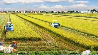 Cần Thơ hướng đến trở thành trung tâm nông nghiệp công nghệ cao của khu vực ĐBSCL