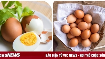 Ăn trứng vào bữa sáng có tốt cho sức khoẻ?