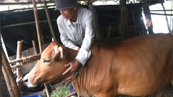 Trợ lực cho xã bãi ngang thoát nghèo, đạt chuẩn nông thôn mới