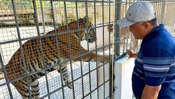 Ở Lâm Đồng có một bác sĩ thú y nuôi la liệt động vật hoang dã, có con khổng lồ, có con vằn vện