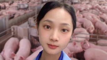 Trở thành hiện tượng mạng nhờ về quê nuôi heo