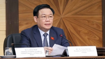 베트남과 이란 사이의 경제, 무역, 투자 관계는 점점 더 성장할 것입니다.