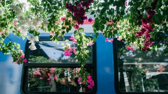 Hà Nội - mùa vương vấn
