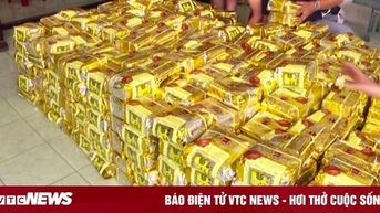 Công an TP.HCM phá đường dây ma túy xuyên quốc gia, thu giữ 290kg ma túy