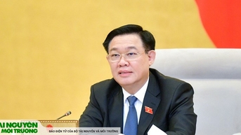 Phát triển ngành dược là rất quan trọng