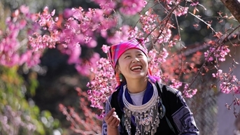 Sắp diễn ra Festival khèn Mông và Lễ hội hoa Tớ Dày ở Yên Bái