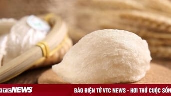 Cách phân biệt yến thật - giả