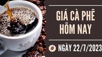 Quay đầu tăng cao nhất 1.300 đồng/kg