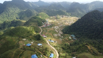 125 học sinh không được học ngoại ngữ trong cả một học kỳ